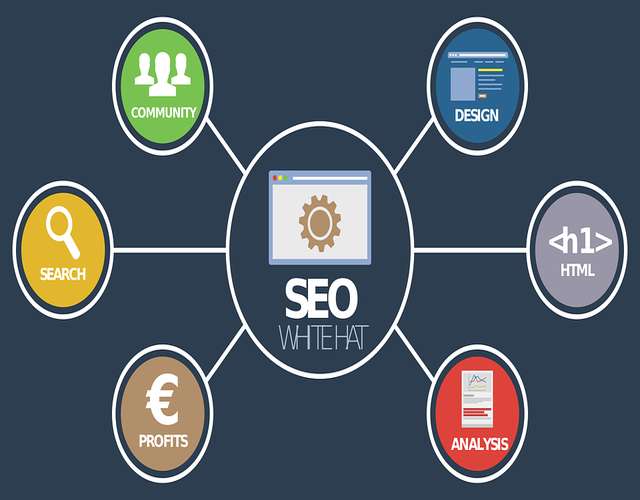 The Future of SEO: Your Definitive Guide to Dominating the Evolving Search Landscape